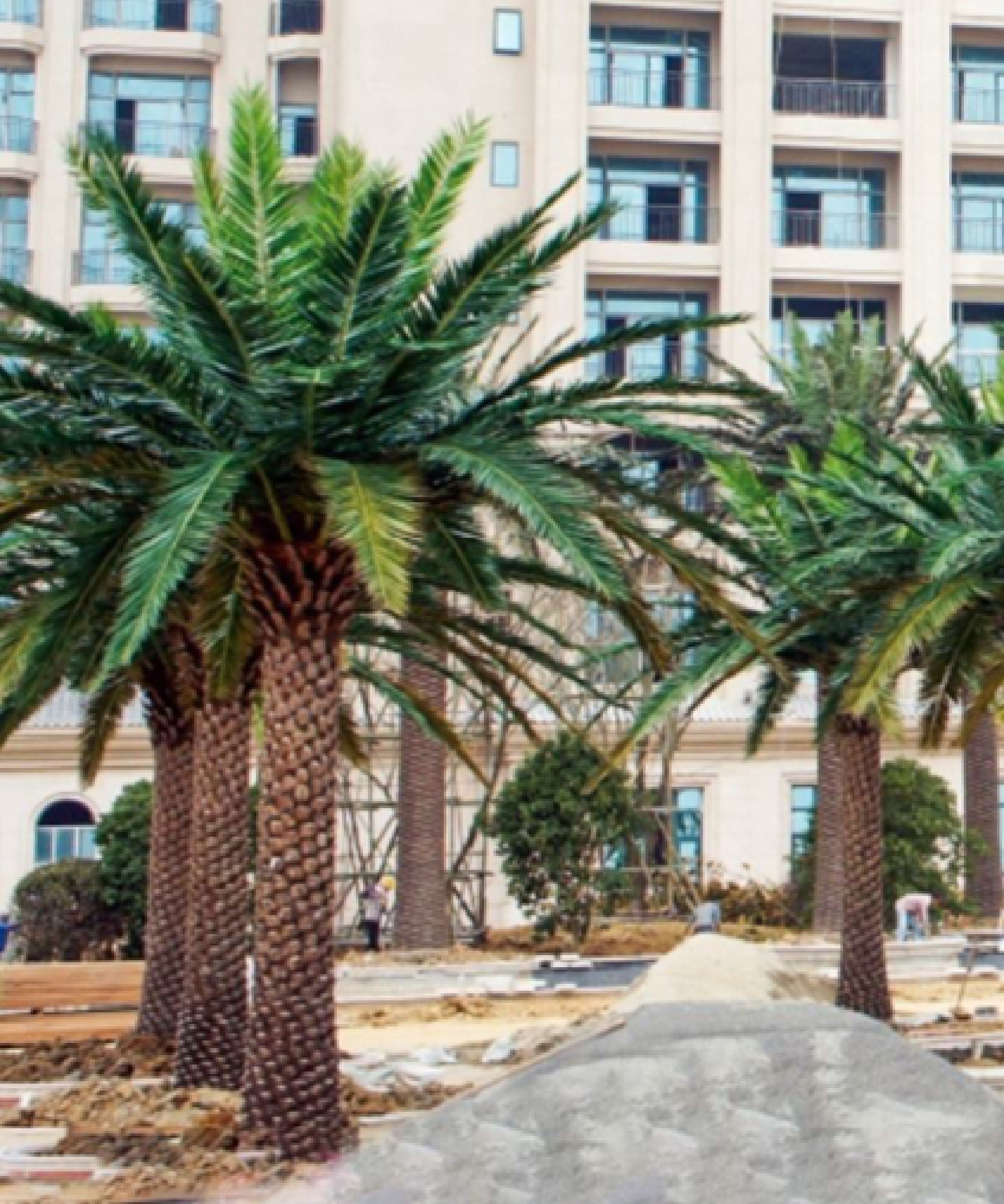 Palmera artificial Middle East 3m-30m MAIA SHOP JArdín