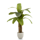 Platanera Artificial 120 MAIA SHOP PNG