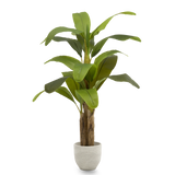 Platanera Artificial 150 MAIA SHOP PNG