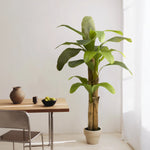 Platanera Artificial 180 MAIA SHOP