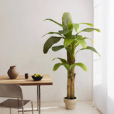 Platanera Artificial 180 MAIA SHOP