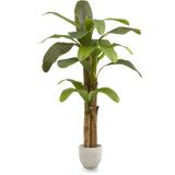 Platanera Artificial 180 MAIA SHOP PNG