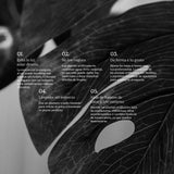 Tips Monstera Artificial 120 MAIA SHOP
