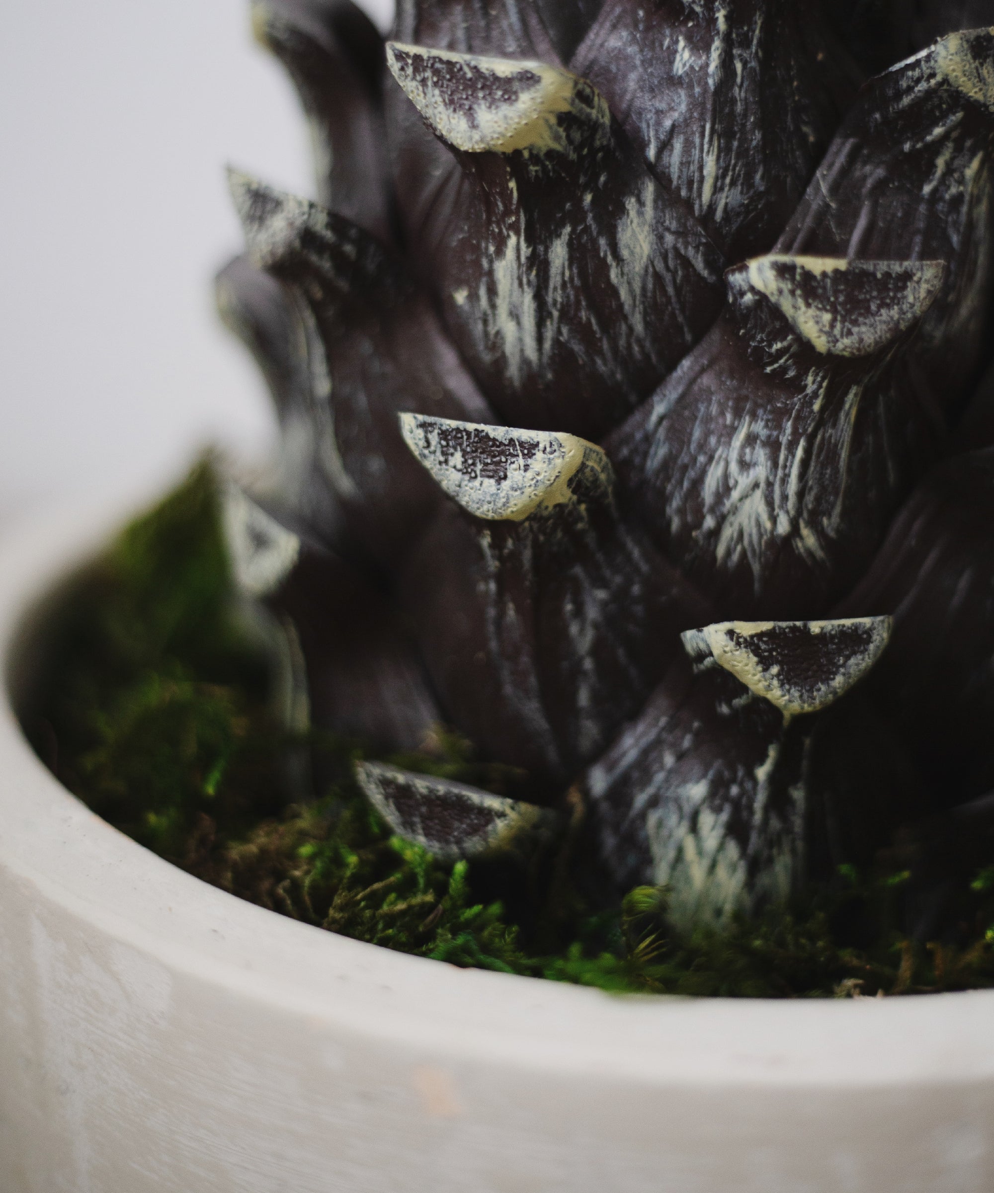 Tronco Agave Artificial MAIA SHOP