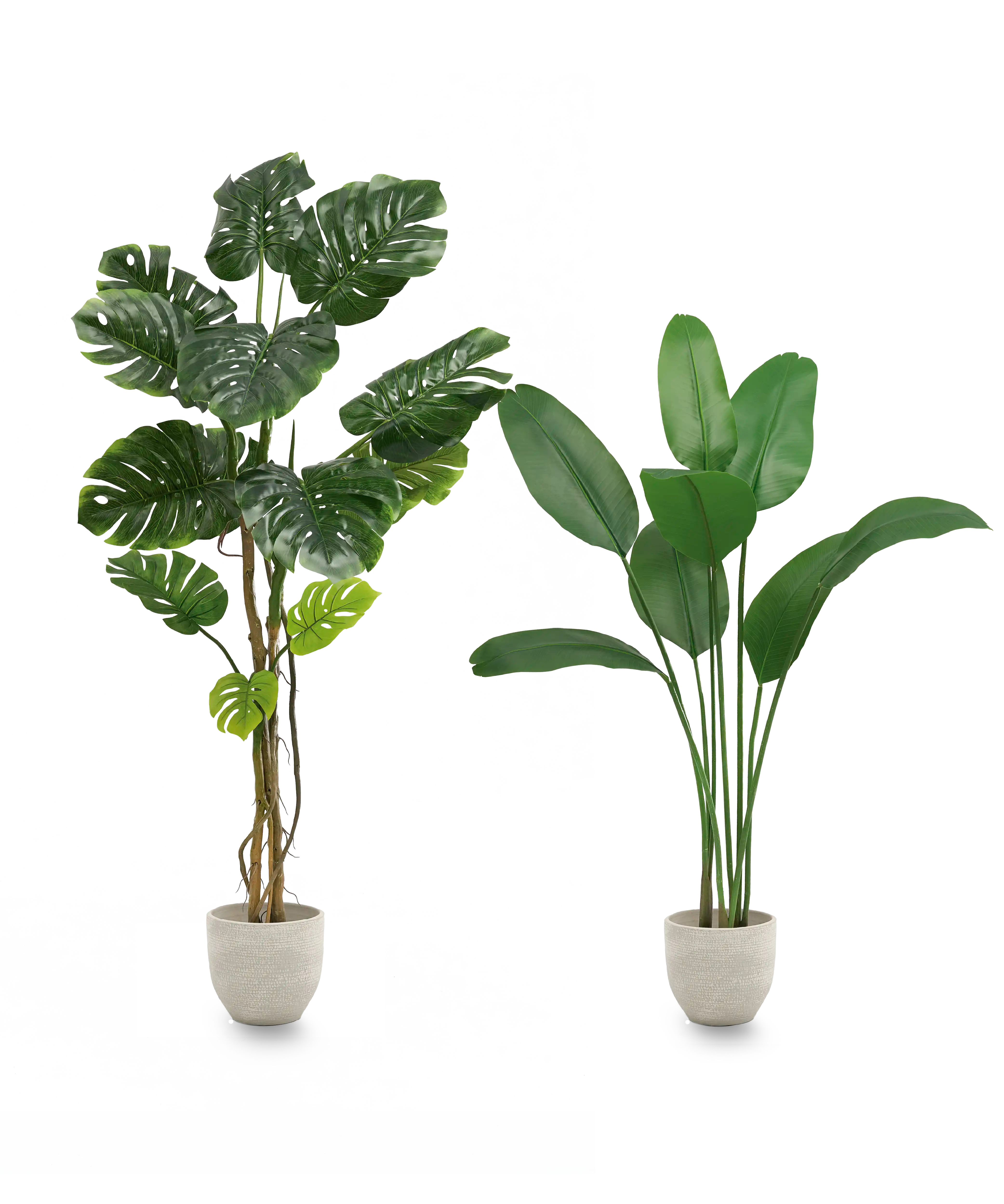 Urban Jungle MAIA SHOP