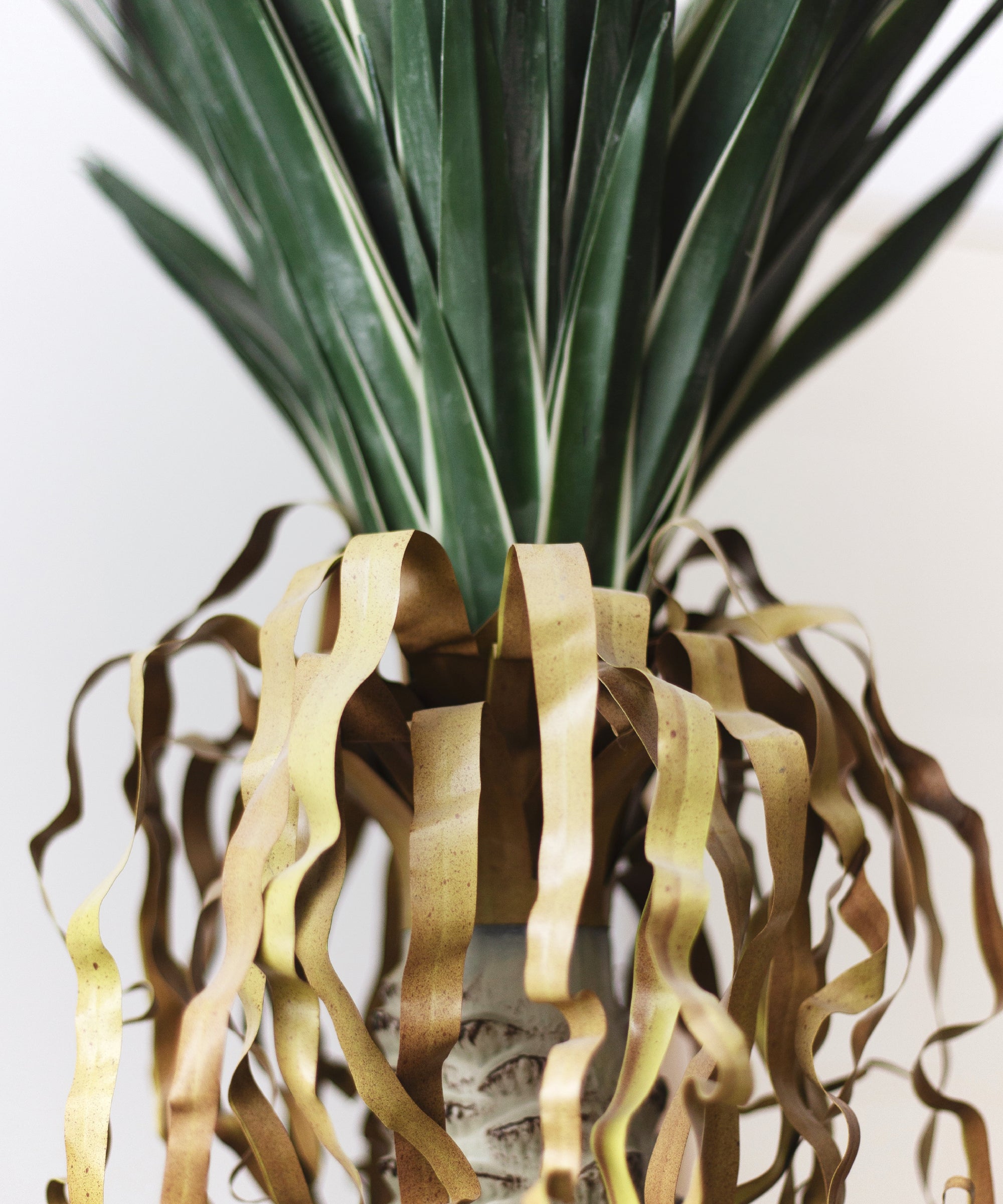 Yuca Artificial MAIA SHOP Detalle