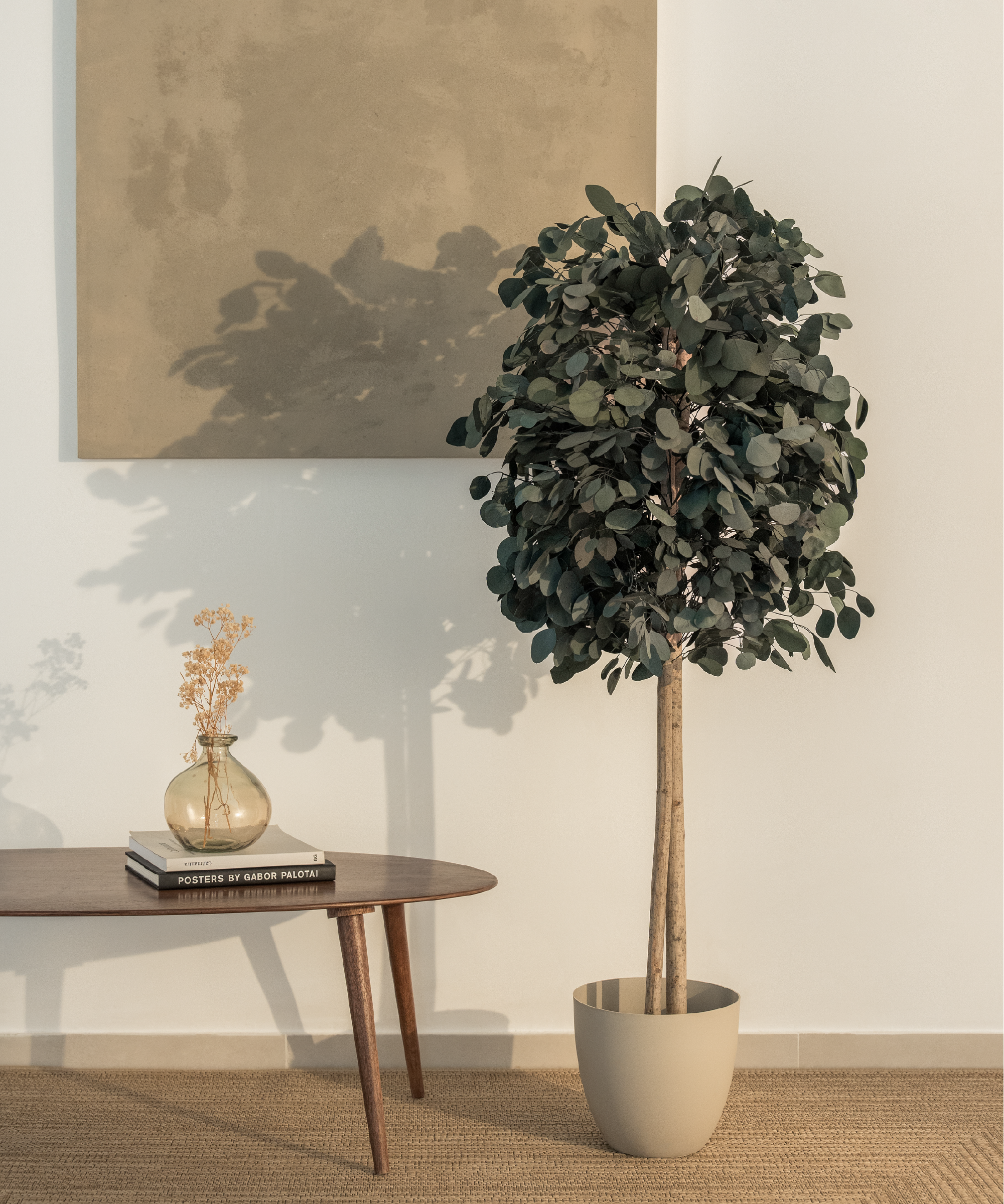 arbol eucalipto preservado round 150