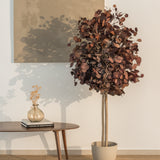 arbol eucalipto preservado round 150 burdeos