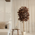 arbol eucalipto preservado round 180 burdeos