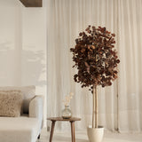arbol eucalipto preservado round 180 burdeos