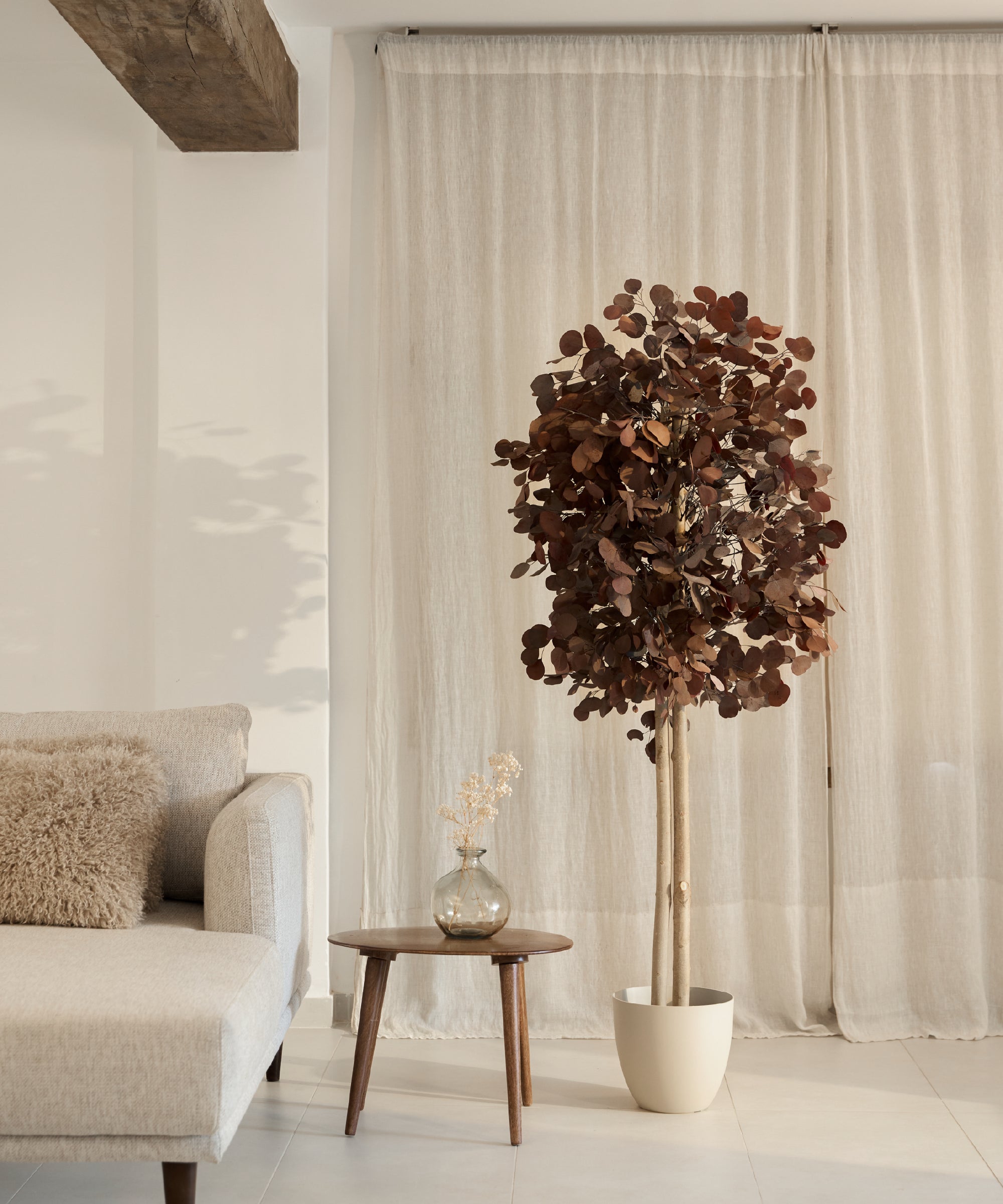 arbol eucalipto preservado round 180 burdeos