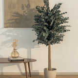 arbol preservado eucalipto azulado 150