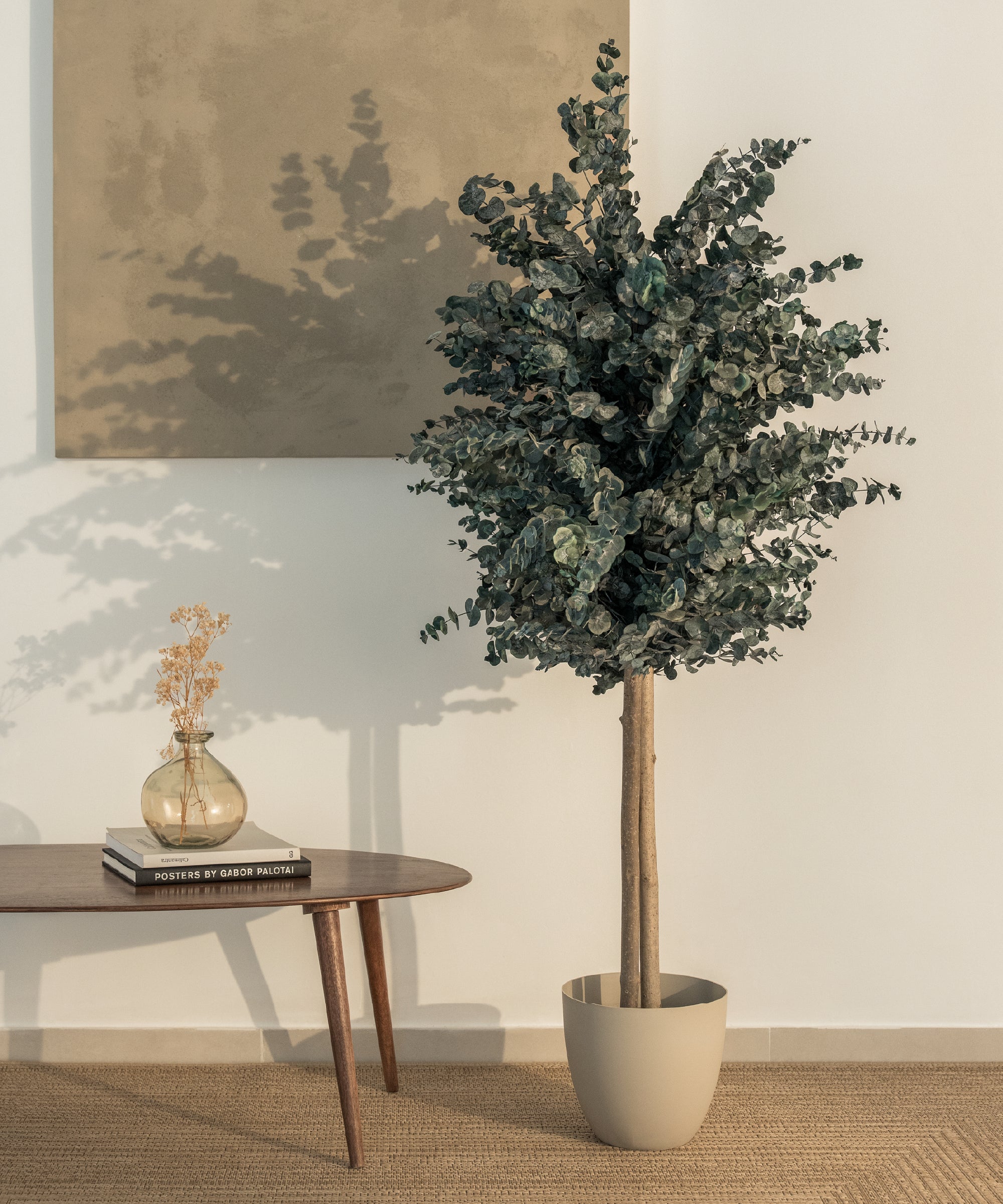 arbol preservado eucalipto azulado 150