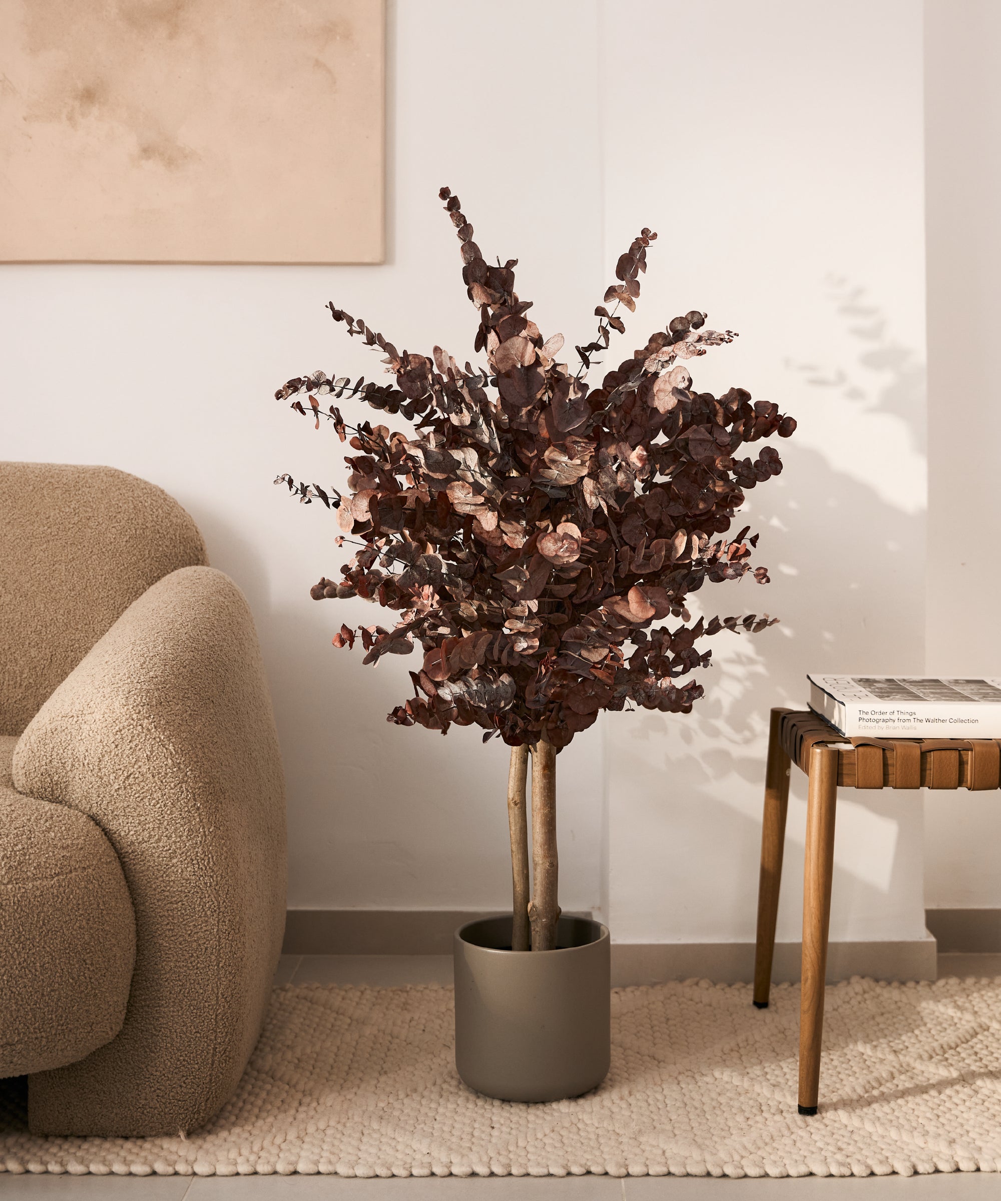 arbol preservado eucalipto burdeos 100