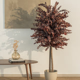arbol preservado eucalipto burdeos 150