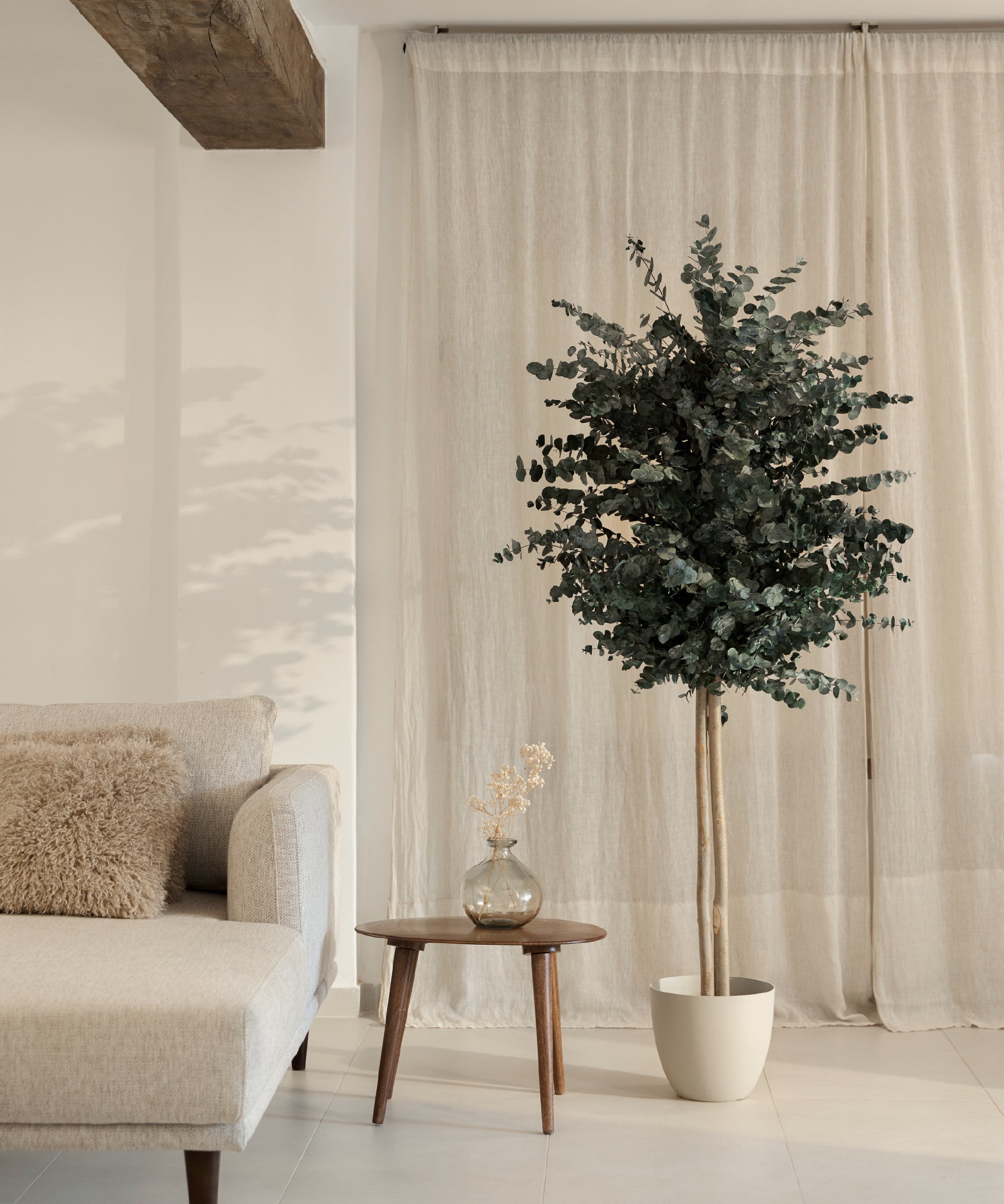 arbol preservado eucalipto essential
