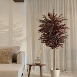arbol preservado eucalipto essential burdeos