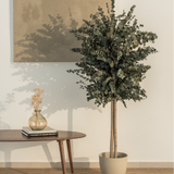 arbol preservado eucalipto verde 150