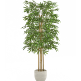 bambu artificial 150 maia shop
