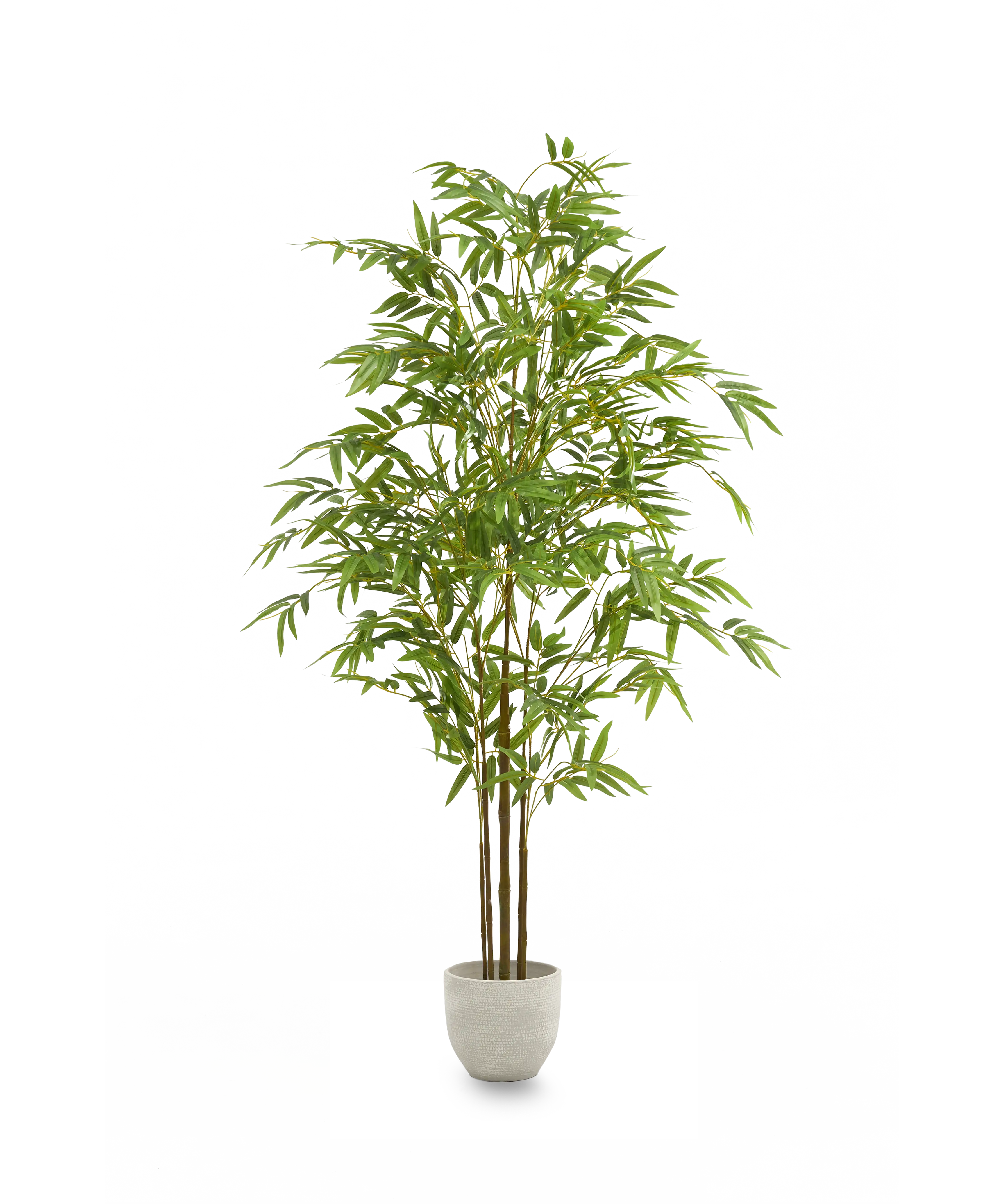 bambu artificial minimal 180 maia shop