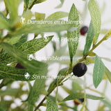 caracteristicas olivo artificial