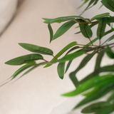 detalle hojas bambu artificial