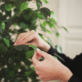 detalle hojas ficus artificial