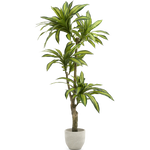 dracena artificial 170 maia shop