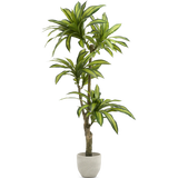 dracena artificial 170 maia shop