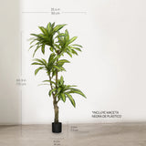 dracena artificial 170 medidas