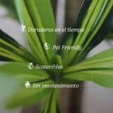 dracena artificial caracteristicas