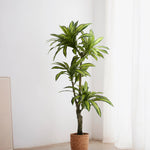 dracena artificial grande decoracion
