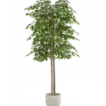 ficus artificial 150 maia shop