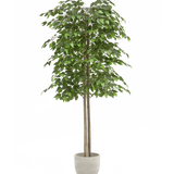 ficus artificial 150 maia shop