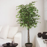 ficus artificial 180 maiashop