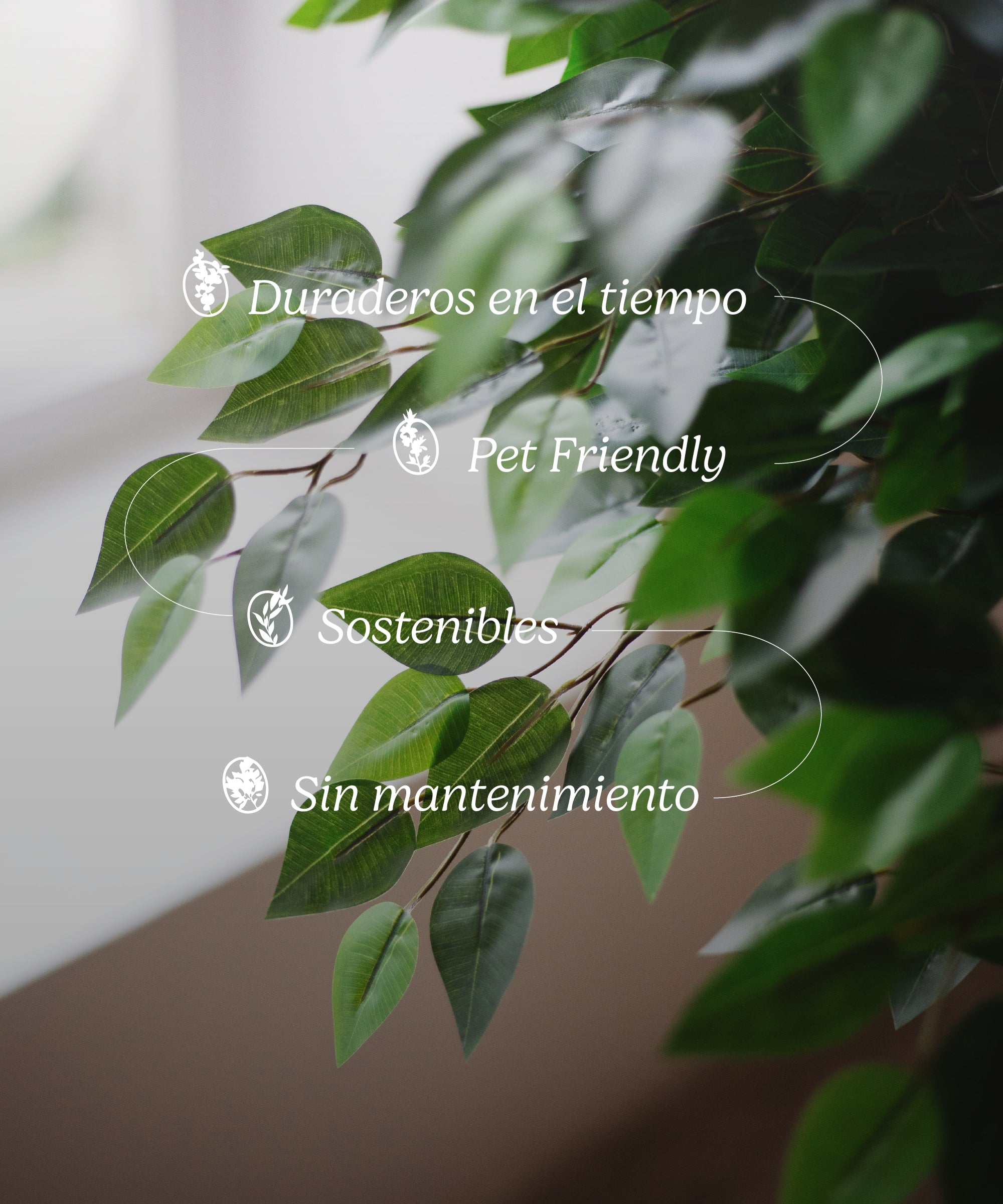 ficus artificial caracteristicas