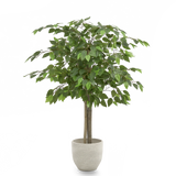 ficus artificial pequeño maia shop