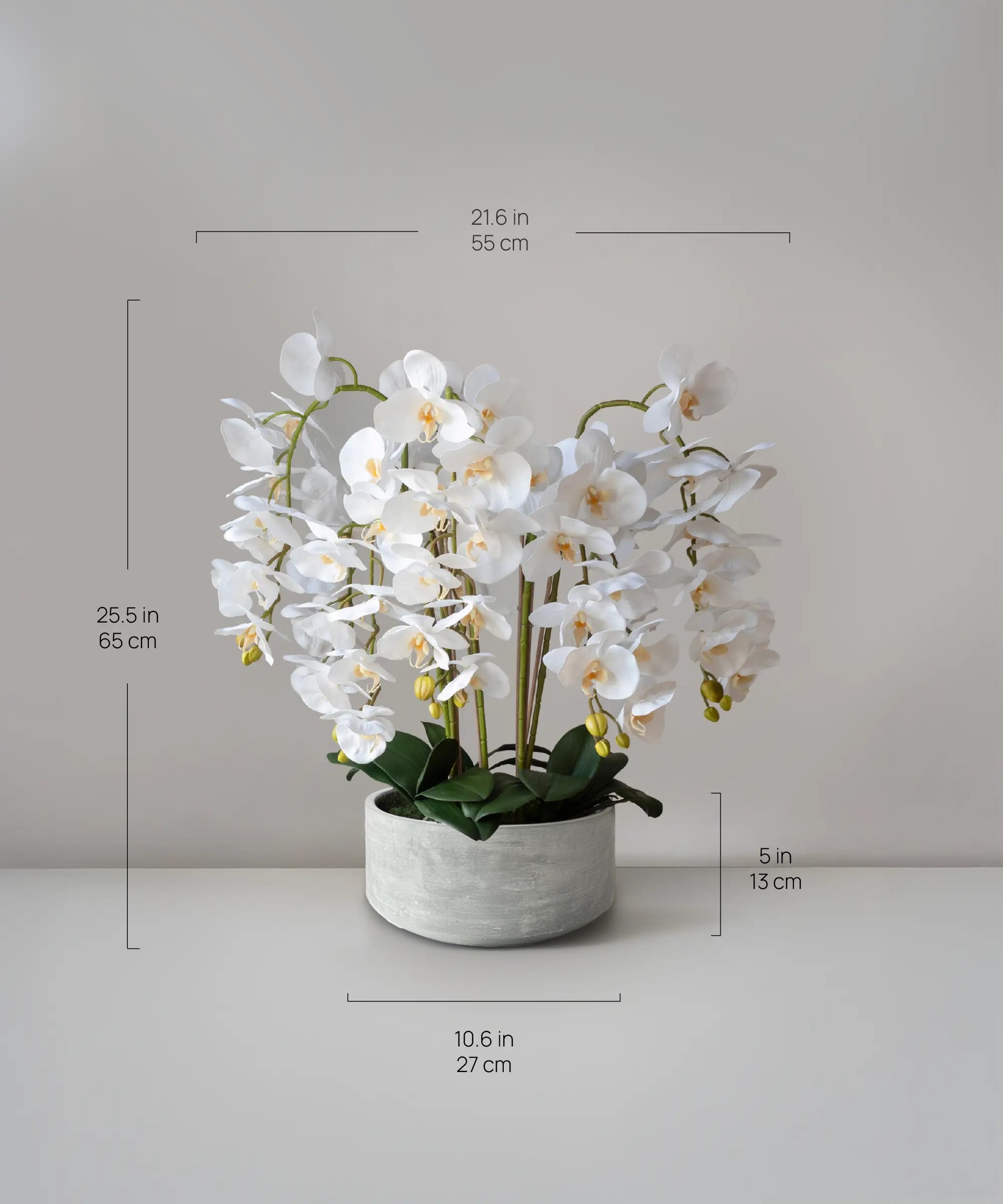 medidas Sira MAIA SHOP Orquídea 8