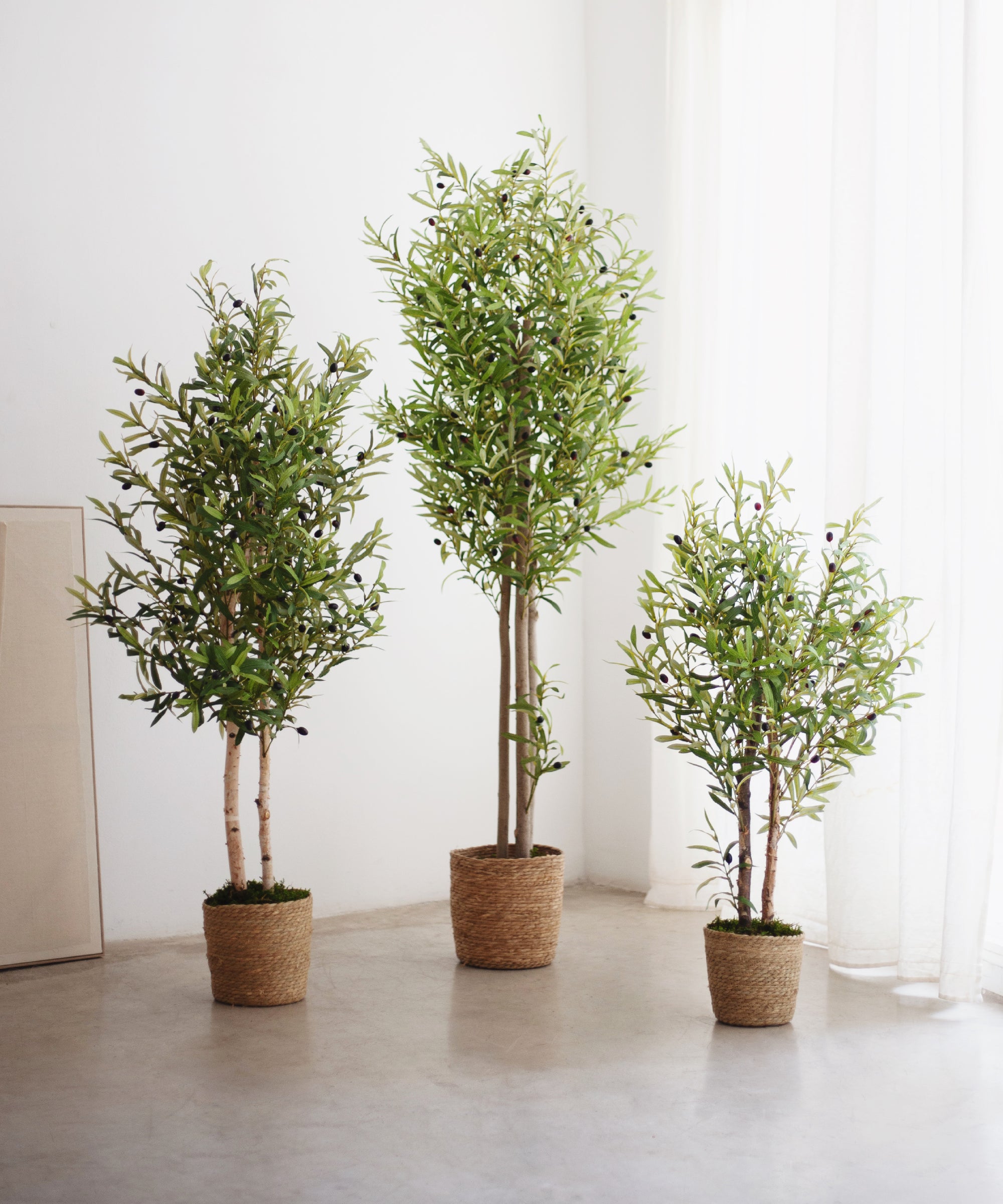 olivos artificiales maia shop