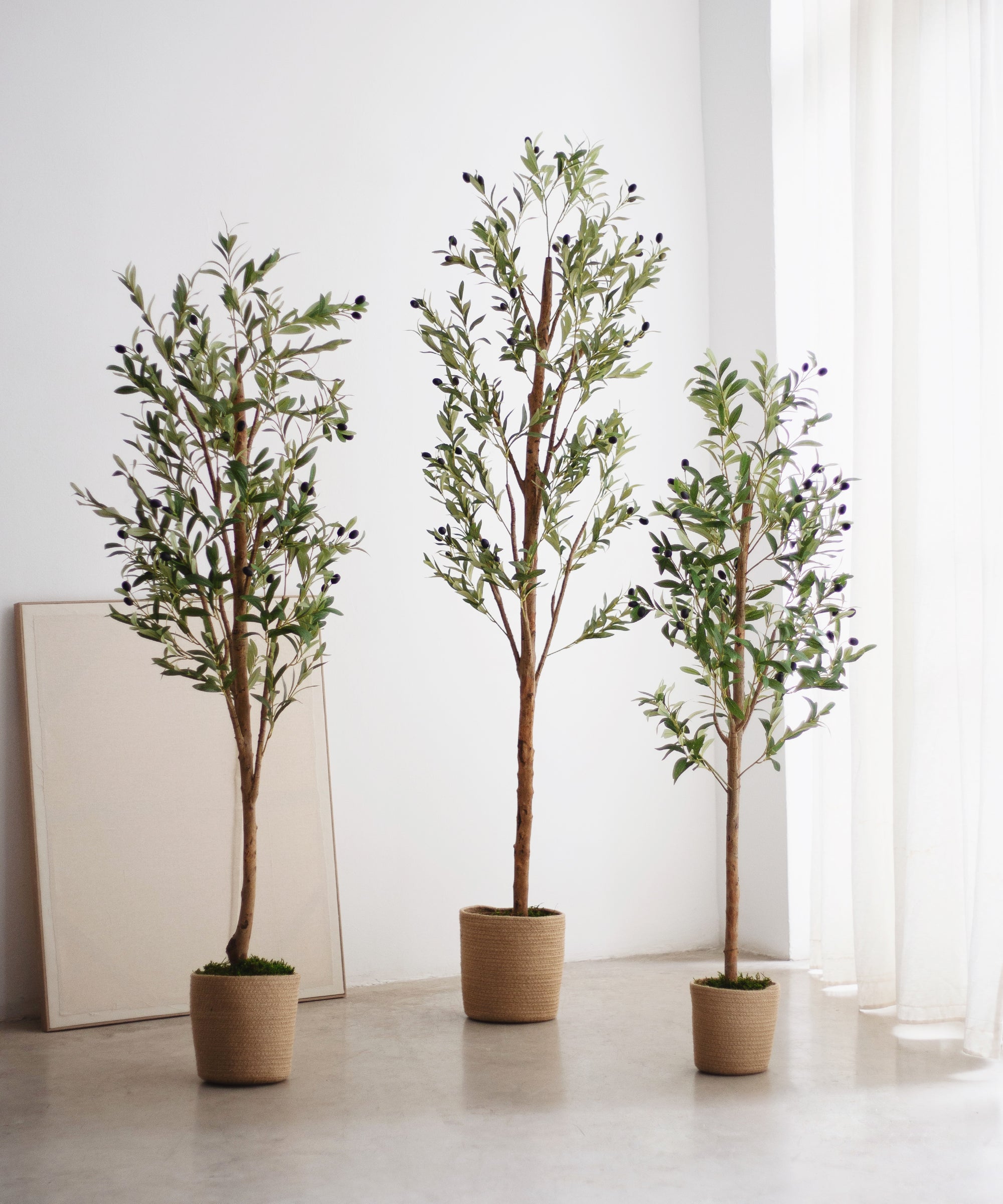 olivos artificiales minimal