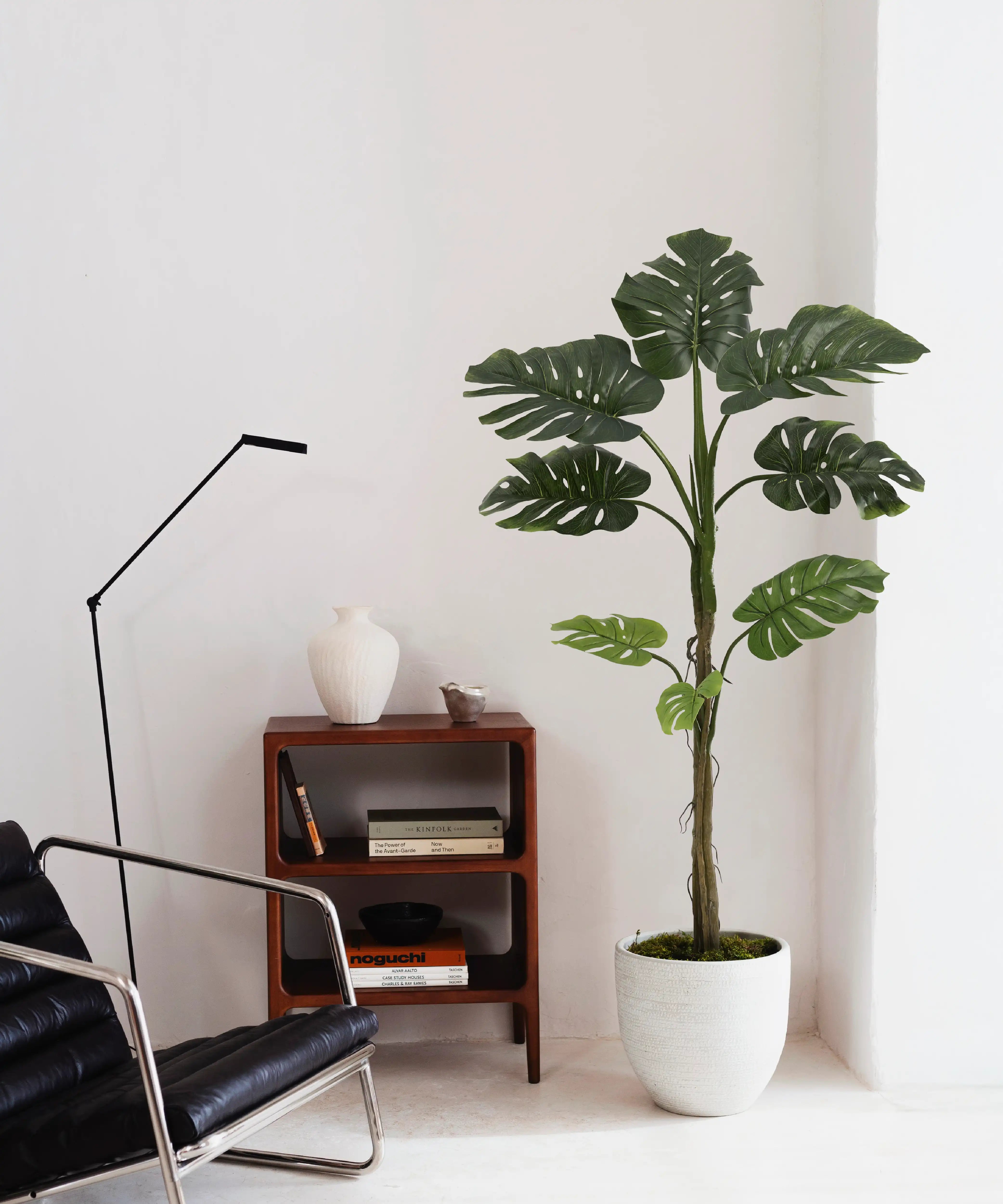 Decoración de Casa con Plantas: 7 Ideas para Dar Vida a tu Hogar