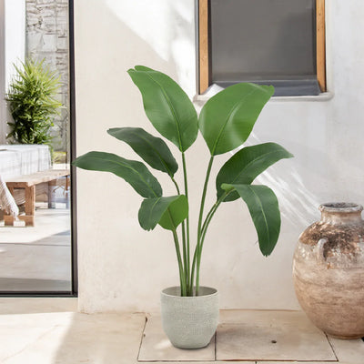 Plantas Artificiales de Hojas Grandes