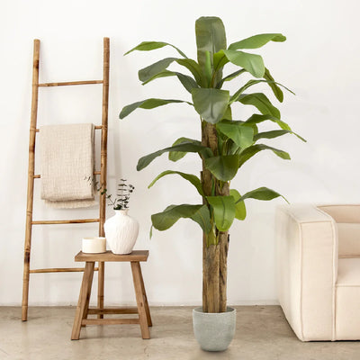 Plantas Tropicales Artificiales