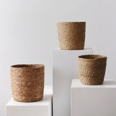 Complementos