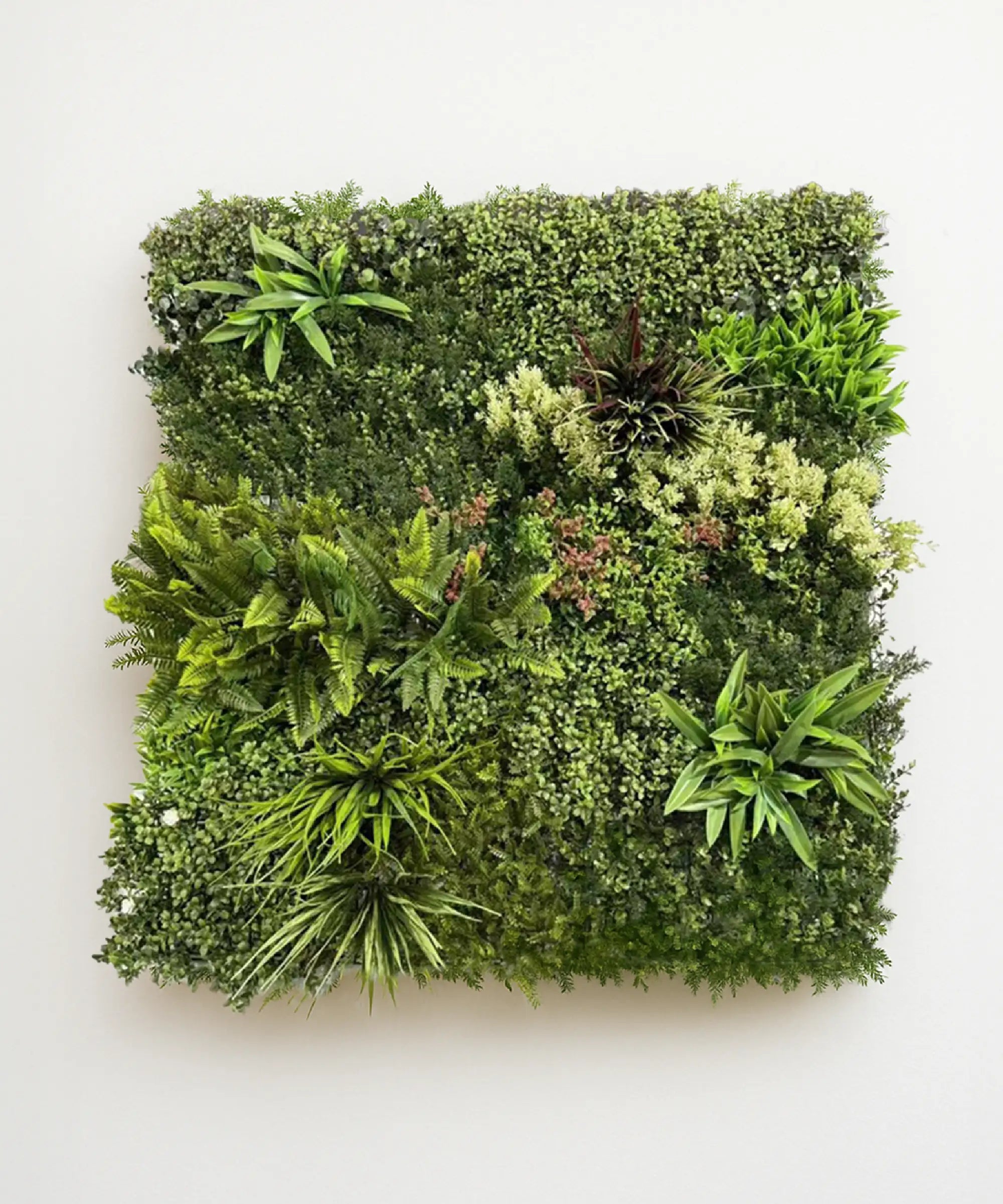 Jardín Vertical Nova