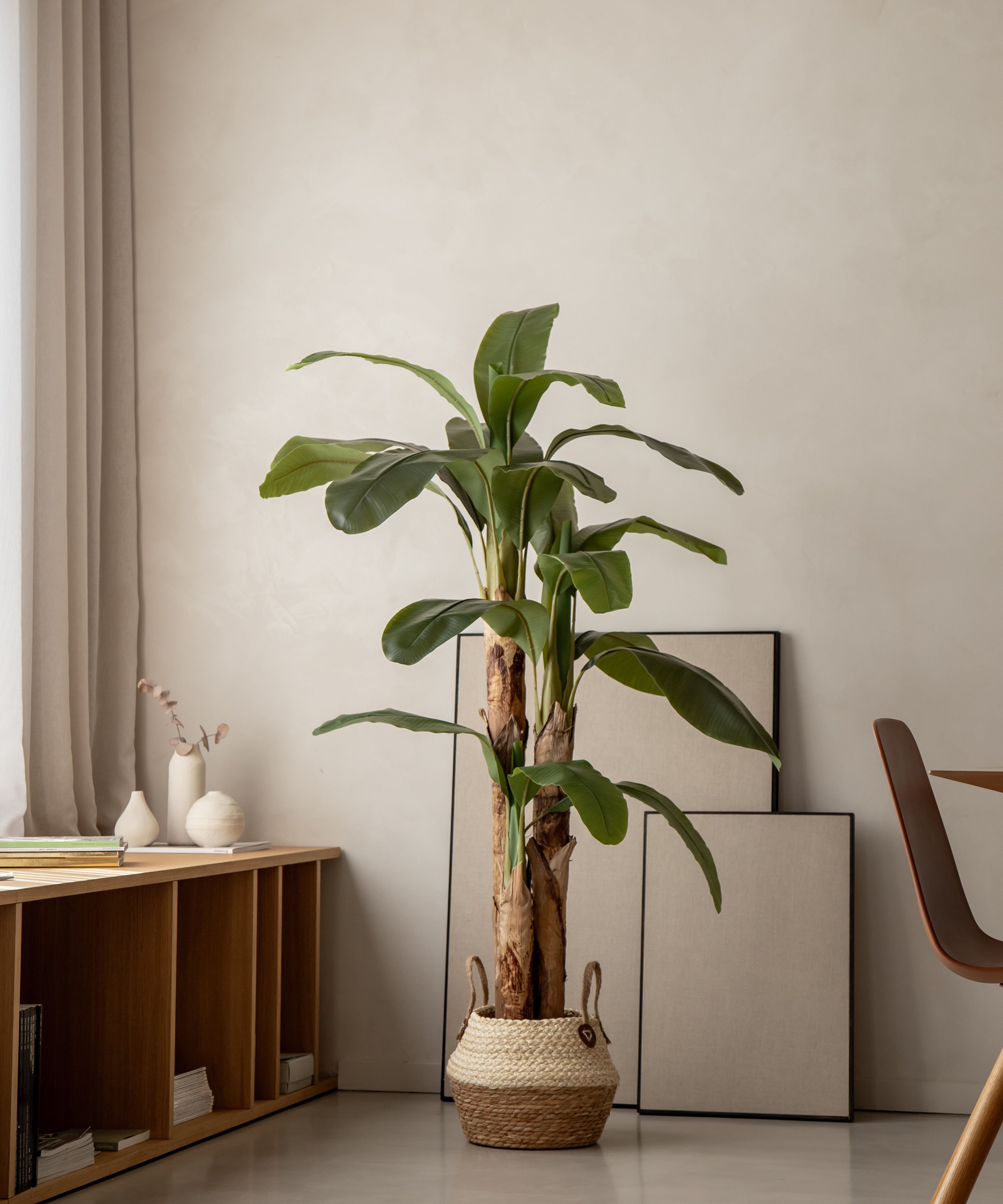 Platanera Collection