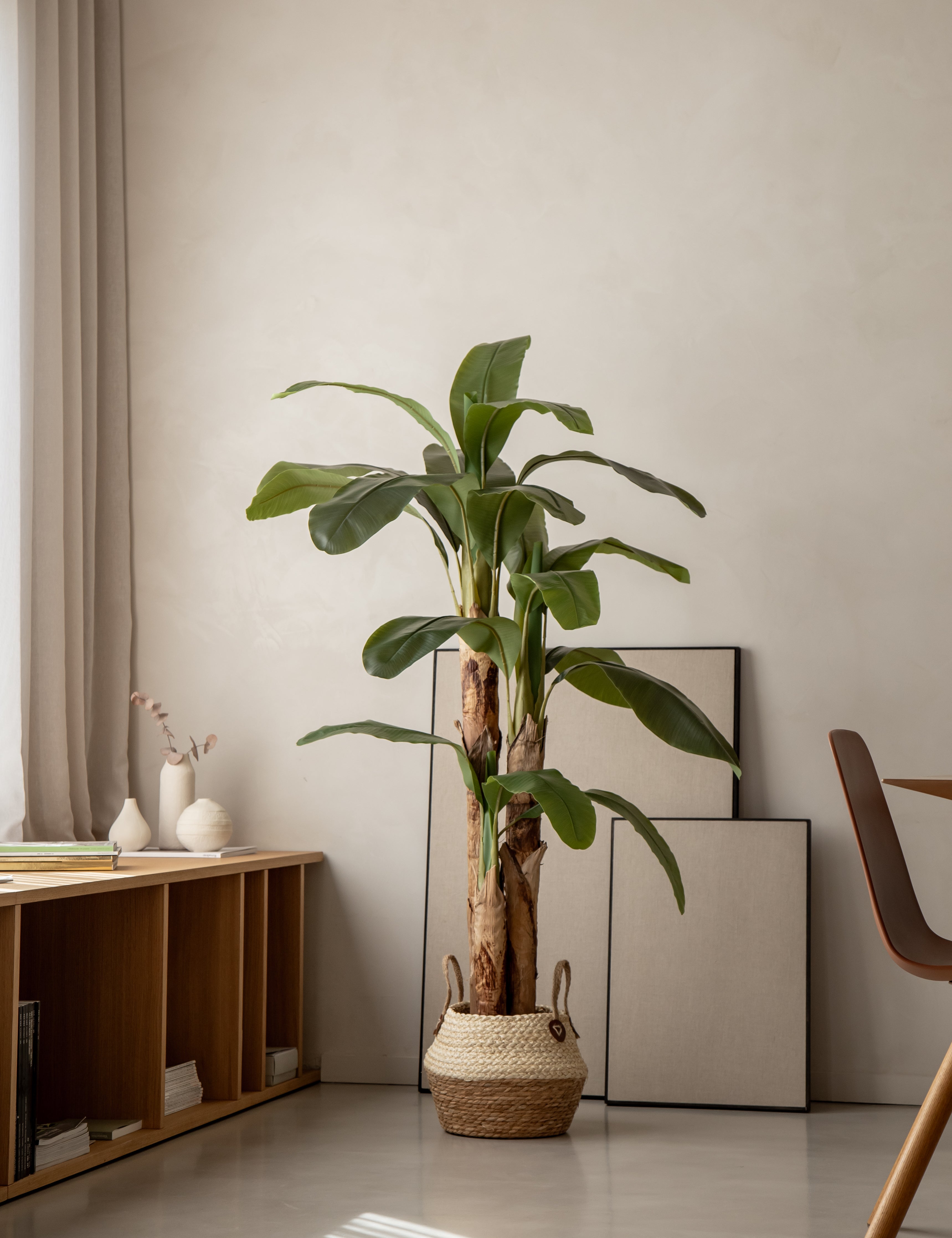 Platanera Collection