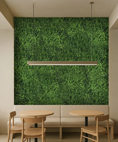 Jardín Vertical Tilo