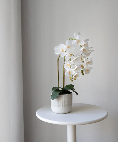 Flores Collection