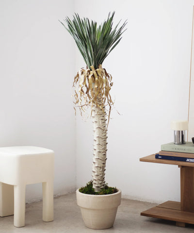 Special Prices (Outlet)